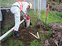 用地杭の建植